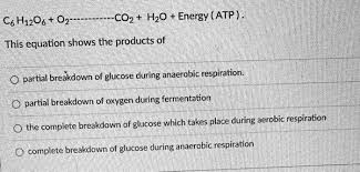 Glucose During Anaerobic Respiration