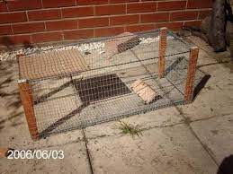 how to build a rabbit trap the