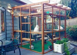 Turn Your Patio Area Into A Catio