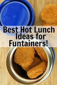 25 thermos funtainer hot lunch ideas