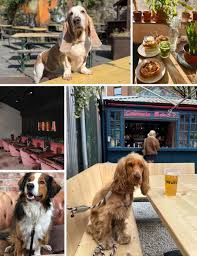 dog friendly pubs bars restaurants