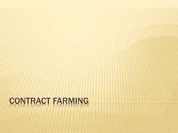 Contract Farming in India