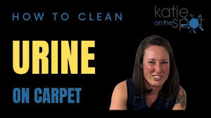how to clean urine on carpet you