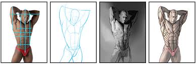 Body anatomy anatomy study anatomy art anatomy drawing human anatomy arm anatomy 'observational anatomy' torso reference from blank space's anatomy drink and draw workshop. How To Draw And Shade The Human Torso Proko