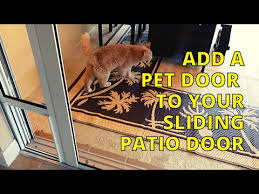Pet Door Into A Sliding Patio Door