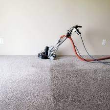 affordable carpet cleaning westland mi