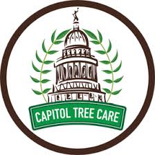 Maybe you would like to learn more about one of these? Georgetown Tree Service Capitol Tree Care