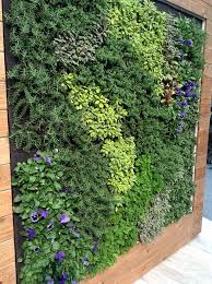 edible living wall vertical garden