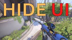 My game went insane my hud disappeared plus fun things - Bug Report -  Overwatch Forums