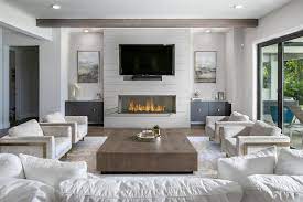 Ethanol Fireplace Gallery Living Room