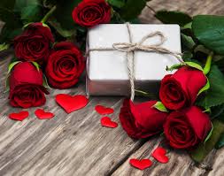 love rose gift romantic red flower