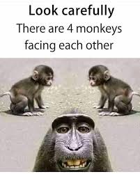 Mencken and douglas coupland at brainyquote. 3 Monkey Friends Quotes Novocom Top