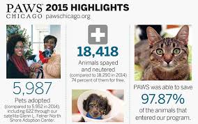 Every animal is unique, and because our cats and kittens are cared for in private homes, we feel we truly get to know what makes. Paws Chicago By The Numbers Paws In The Media Paws Chicago
