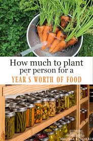 how much to plant per person for a year