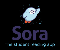Image result for sora app