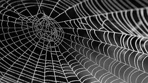How To Get Rid Of Spiders And Cobwebs
