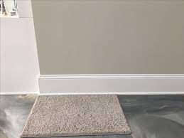 Carpet With Agreeable Gray Paint