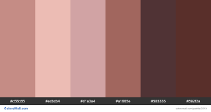 Human Skin Tone Color Palette Hex Rgb Codes