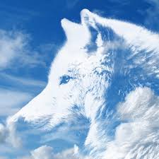 There are 1050 anime white wolf for sale on etsy, and they cost $30.64 on average. á‰ The Realm Of White Wolf Single Mp3 320kbps Flac Download Soundtracks