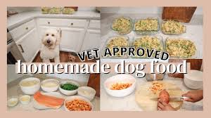 healthy homemade dog food recipe how