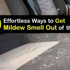 get rid of mildew smell removing