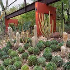 explore desert botanical garden
