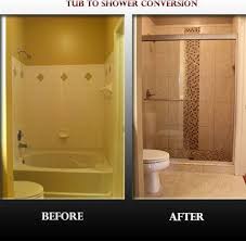Tub To Shower Conversion Spaces