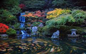 Autumn Zen Garden Japanese Rock Garden