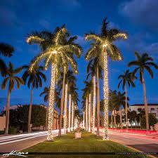 We did not find results for: Royal Palm Tree Christmas Lights Palm Beach Island Royal Stock Photo