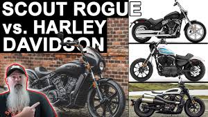 indian scout rogue vs harley davidson