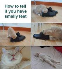 treat sweaty smelly feet and foot odor