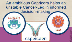 Relationship Compatibility Of The Cancer Leo Cusp With Other
