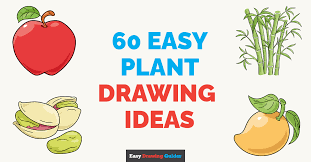 60 Step By Step Plant Drawing Tutorials