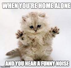 image ged in scared cat home alone