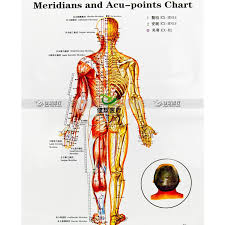 Us 4 74 5 Off 3pcs Set Wallmap Ear Acupuncture Map Ustration Of Acupuncture Points Map Male Body Meridians And Acu Points Chart In Massage