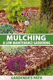 mulch for low maintenance gardening