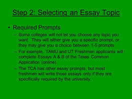 Application essay examples that worked                  