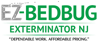 1 bed bug treatments in nj new jersey