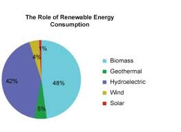 The Pie Chart Tracks The Percentage Of Renewable Energy