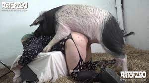 130 kilos pig hurting the ass of naughty old woman - Zoo Xvideos