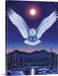 Night Owl Wall Art Canvas Prints