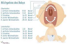 Symptome & anzeichen hausmittel & hilfe bei zahnenden babys. Milchgebiss Wann Kommen Babys Zahne Familie De