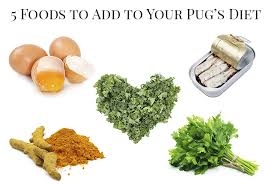 5 foods to add to your pug s t the