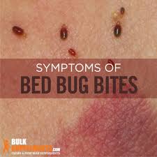 bed bug bites characteristics causes