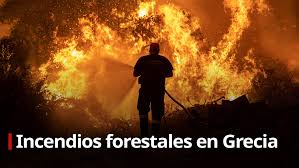 Bomberos luchan contra múltiples incendios forestales en california. Incendios Rt En Espanol