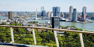 Officiële website van gemeente rotterdam. Rotterdam Partners Linkedin