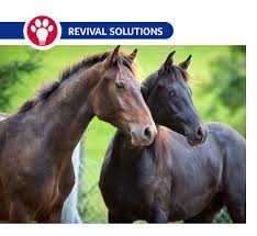 Deworming Horses Deworming Rotation Schedule