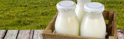 A Quick History Of Home Milk Delivery