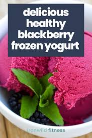 healthy blackberry frozen yogurt recipe