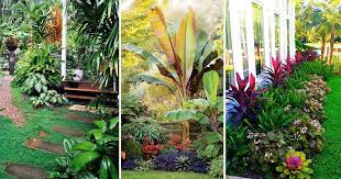 Cozy backyard family design ideas. Top Tropical Backyard Garden Ideas Backyard Garden Tropical Garden Tropical Landscaping